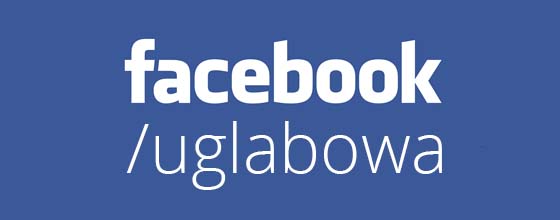 Łabowa na Facebook - Link otwierany w nowym oknie Łabowa na Facebook